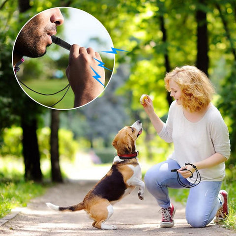 1 PCS Outdoor Training Whistle For Dogs