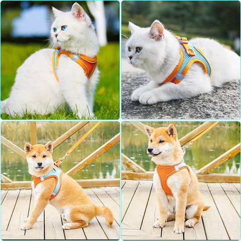 Reflective Dog Harness Leash Set