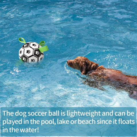 Dog Soccer Ball with Grab Tabs - Features