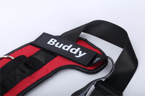 personalized-no-pull-dog-harness-mydoggyneeds