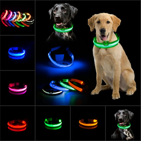 LED Light Dog Collar