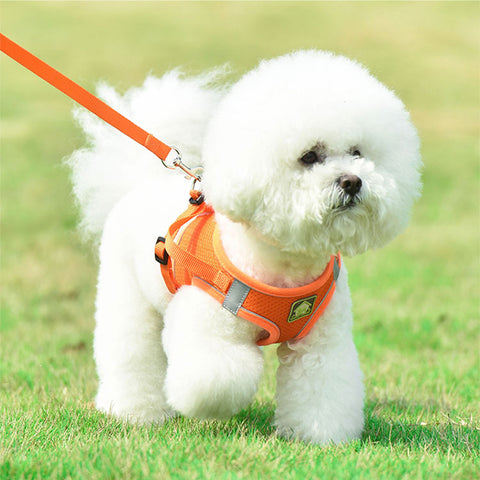 MyDoggyNeeds™ Reflective Dog Harness and Leash