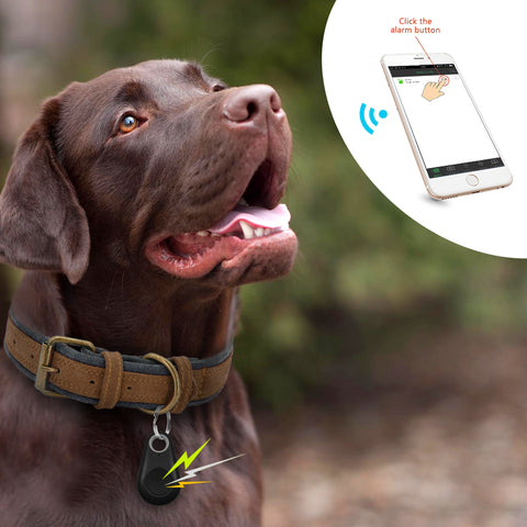 MyDoggyNeeds™ GPS Tracker Smart Key Finder Locator for Pets