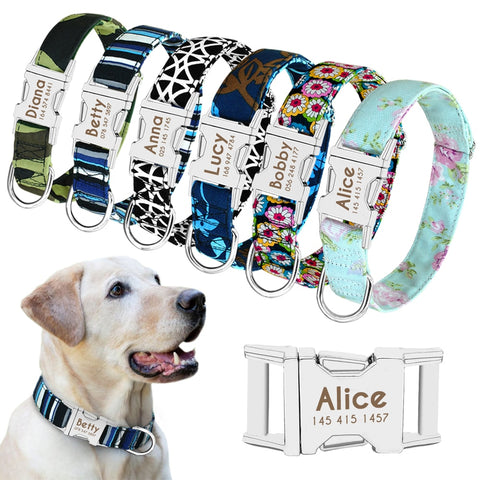 Dog Collar with Engraved ID