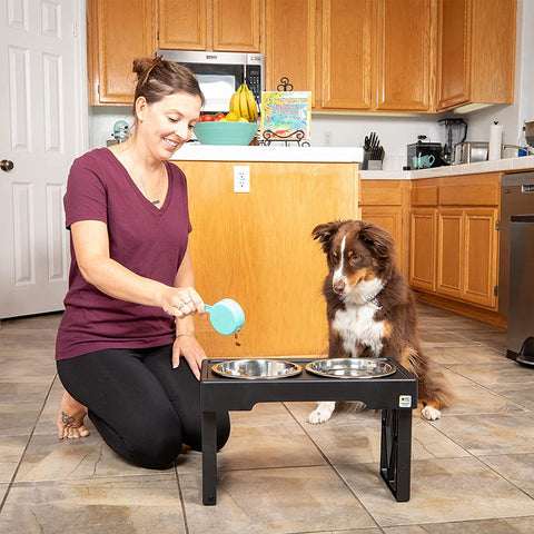 Adjustable Food and Water Dog Bowl Stand