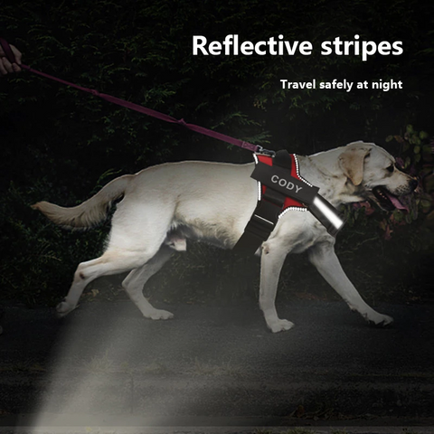 personalized-no-pull-dog-harness-reflective-stripes-mydoggyneeds