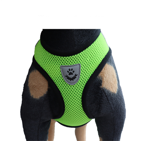 Small Dog and Cat Harness With Leash