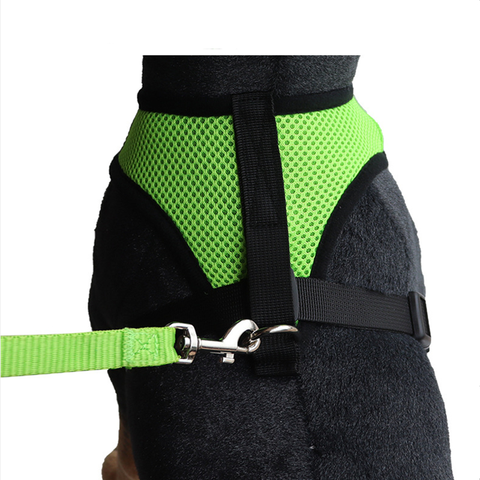 Small Dog and Cat Harness With Leash