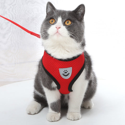 Small Dog and Cat Harness With Leash