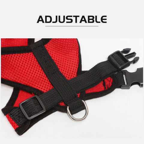 Small Dog and Cat Harness With Leash- Features