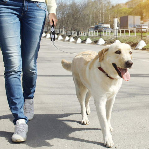 MyDoggyNeeds™ Retractable Dog Automatic Flexible Leash