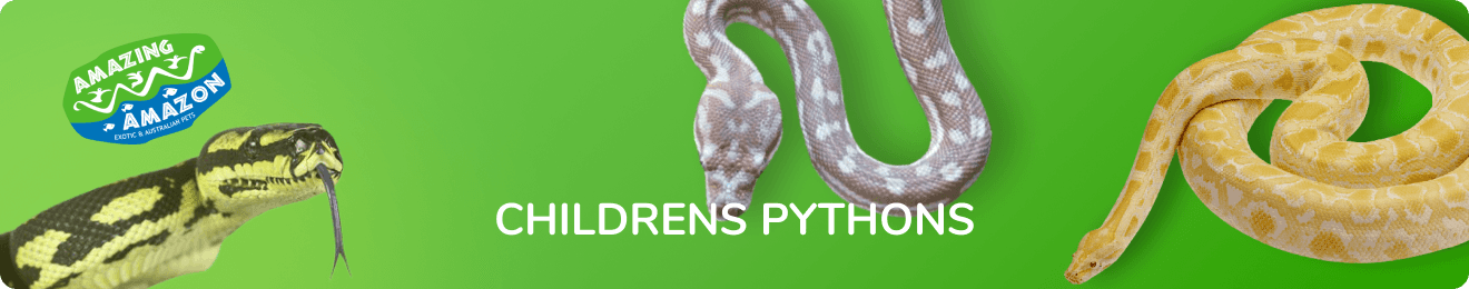 amazing_amazon_childrens_python_banner