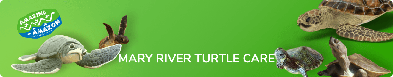amazing_amazon_mary_river_turtlecare_banner