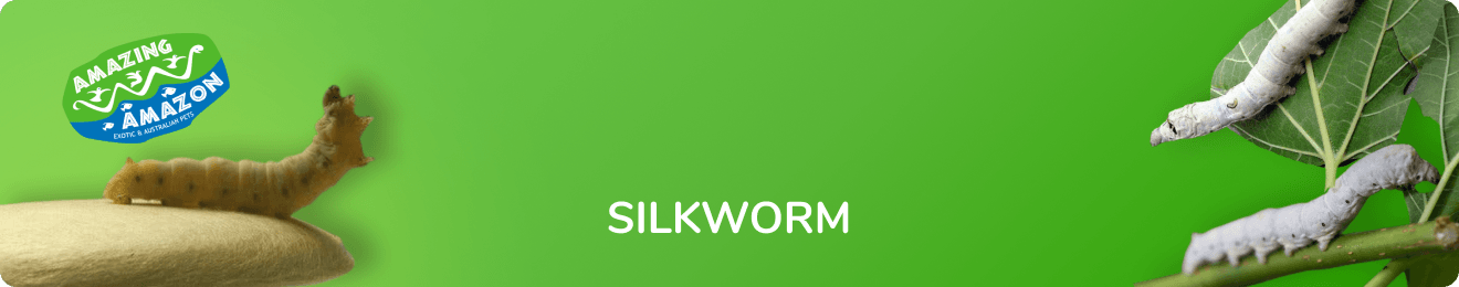 amazing_amazon_silkworm_banner