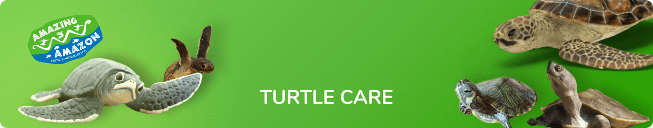 amazing_amazon_turtlecare_banner