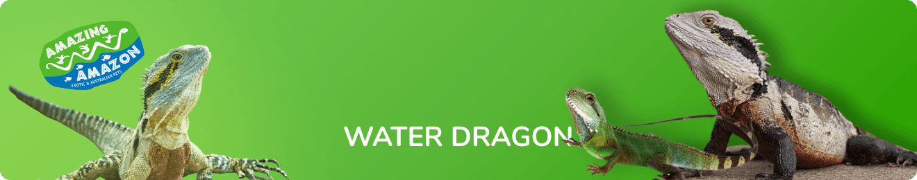 amazing_amazon_water_dragon_banner