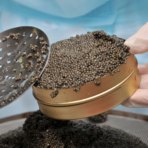 Black Caviar - Real Gourmet Food