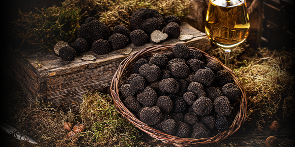 best truffels