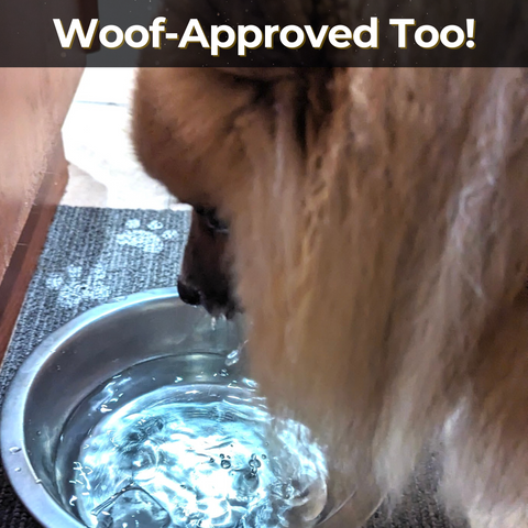 Tyent Water Ionizer - Health Benefits of Filtered Water  for Dogs by Real Gourmet Food