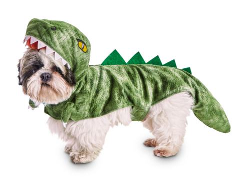 dog dinosaur costume