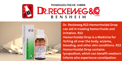 Dr Reckeweg R13 Hemorrhoidal Drop