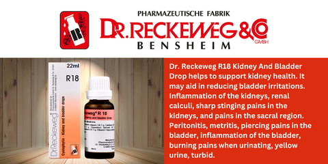 Dr. Reckeweg R18 Kidney and Bladder Drop