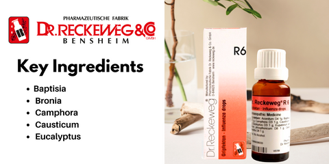 Key ingredients of Dr. Reckeweg R6 Influenza Drop