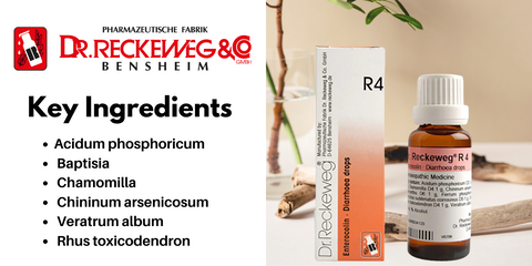 Key ingredients of Dr. Reckeweg R4 Diarrhoea Drop