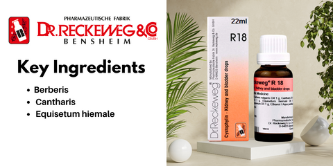 Key ingredients of Dr. Reckeweg R18 Kidney and Bladder Drop