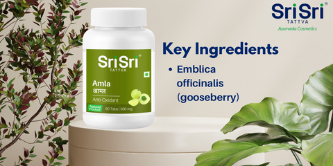 Key ingredients of Sri Sri Tattva Amla Tablet