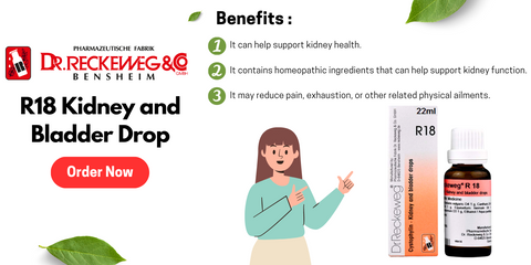 Benefits of Dr. Reckeweg R18 Kidney and Bladder Drop