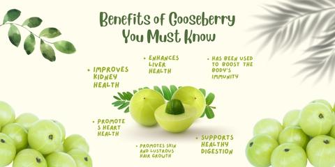 Gooseberry benefits