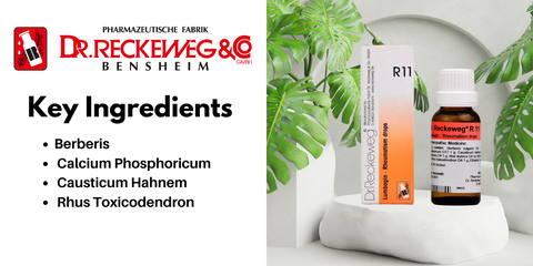 Key ingredients of Dr. Reckeweg R11 Rheumatism Drop