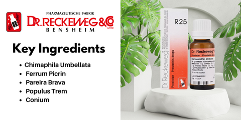 Key ingredients of Dr. Reckeweg R25 Prostatitis Drop