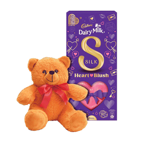 Cadbury Silk with Teddy Bear