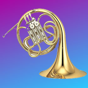 French Horn for Beginners 4-key Double Gold Brass Bell French Horn  Instrument Removable French Horn With Accessories : : Musical  Instruments, Stage & Studio