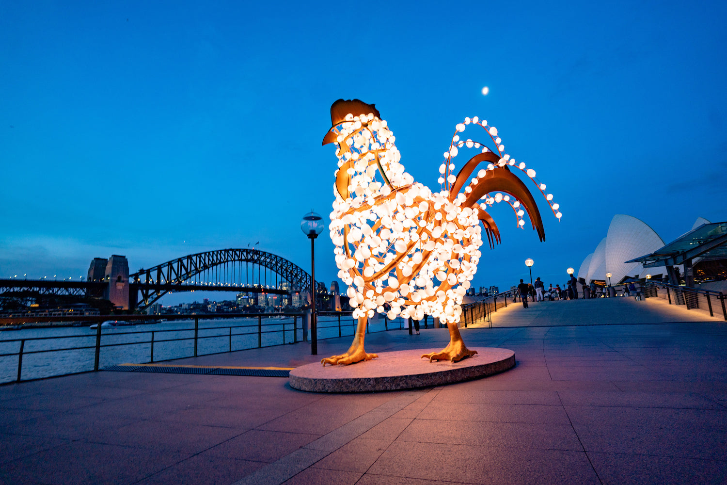 The Rooster art installation by Valerie Khoo