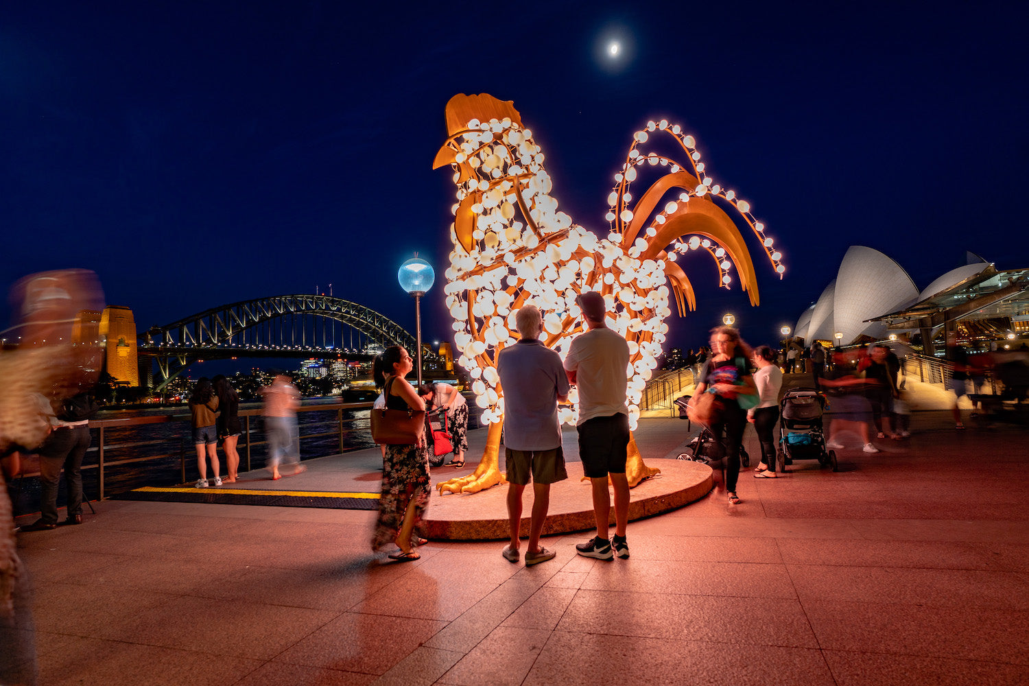 The Rooster art installation by Valerie Khoo