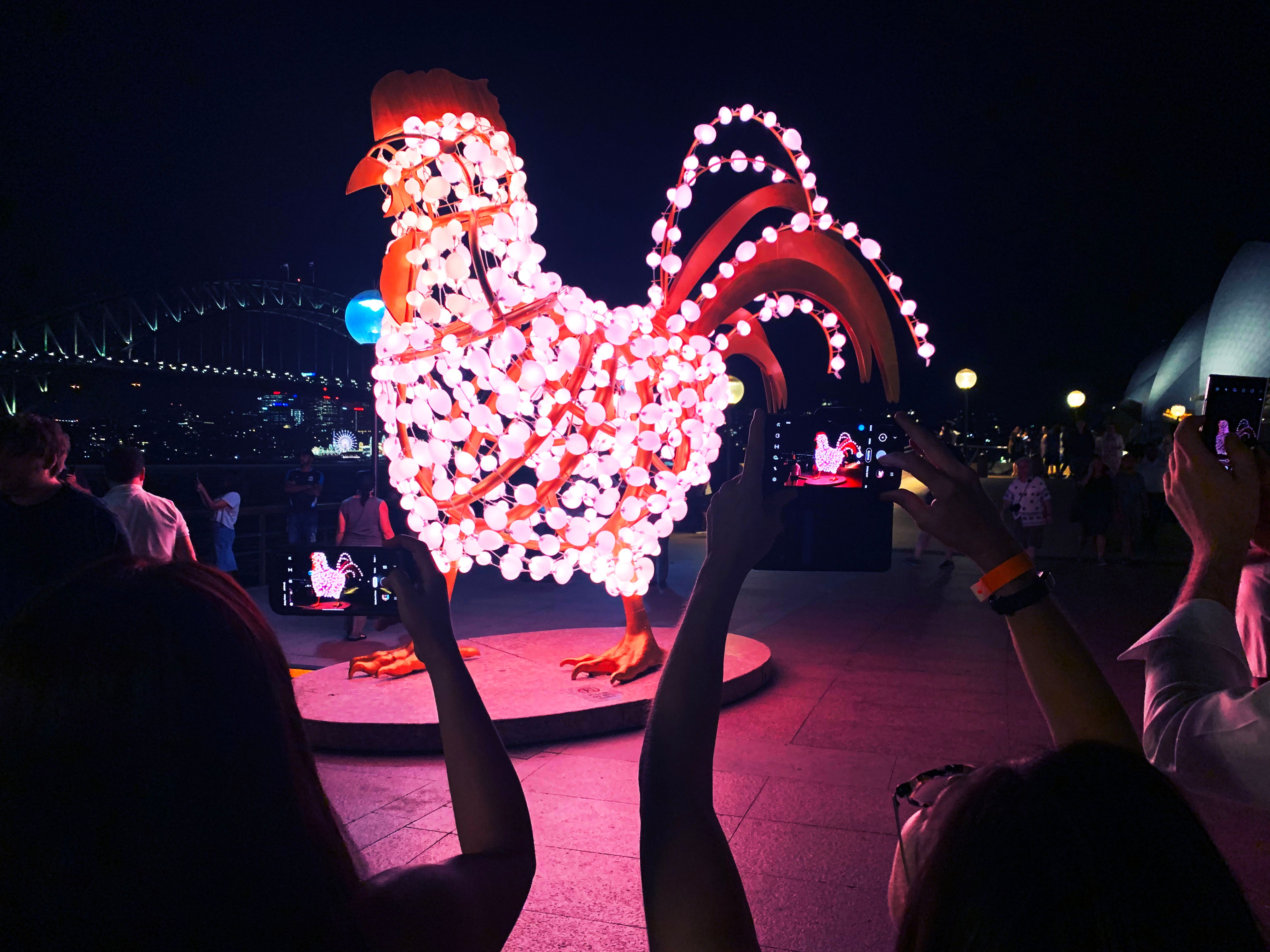 The Rooster art installation by Valerie Khoo