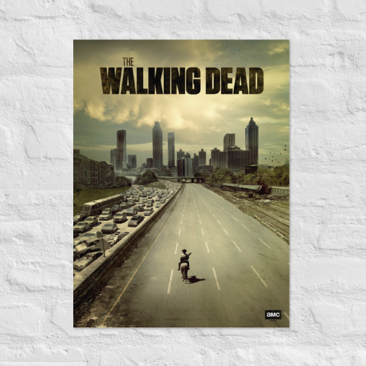 The Walking Dead 11 Movie Silk Print New Wall Art Home - POSTER 20x30 