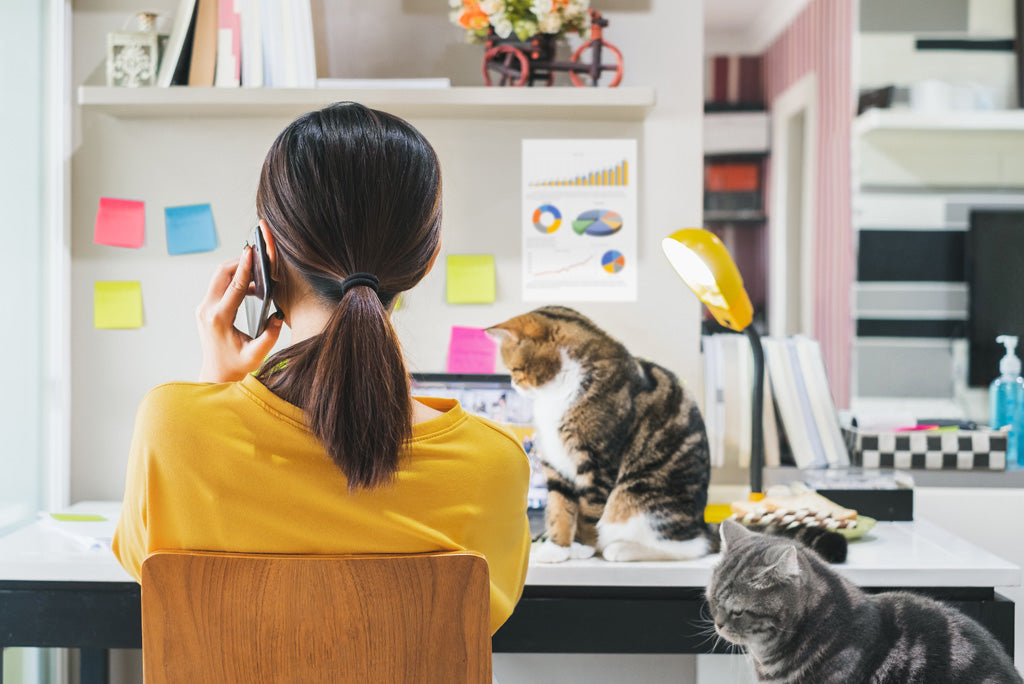 having an ergonomic posture while working from home