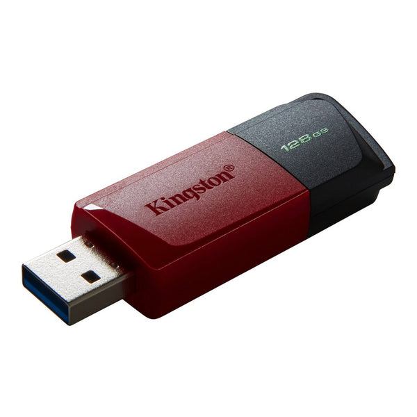 Memoria USB Kingston Technology DT100G3/256GB