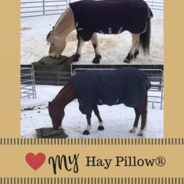 Horses in snow using Hay Pillow in natural grazing position