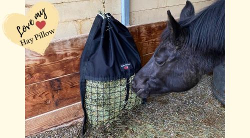 Black horse eating hay from hanging slow feed hay bag