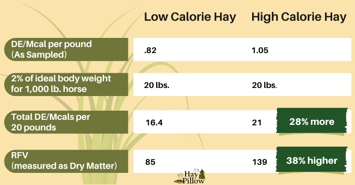 Comparison of two low sugar-starch Orchard Grass hays using digestible energy & relative feed values