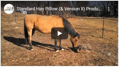 See how the standard hay pillow works