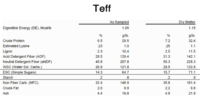 Teff hay test results showing sugar and starch levels.
