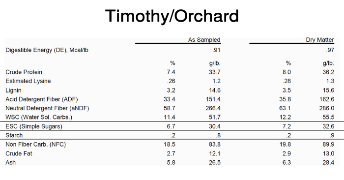 Timothy Orchard grass hay test results showing sugar and starch levels