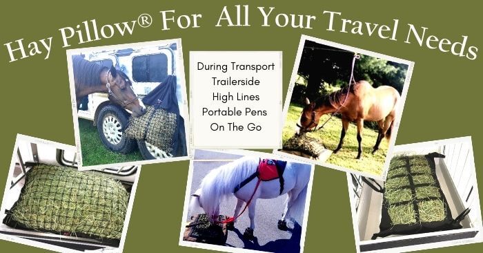 Hay Pillow Travel uses - horses eating on the go.