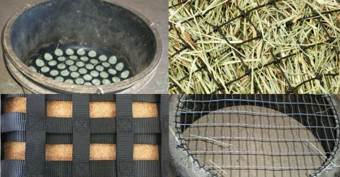 Common slow feeder surfaces for horses - hard-sided, webbing, mesh, and netting